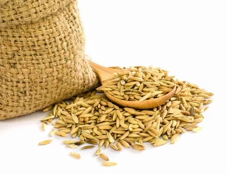 Paddy rice seed. Stock Photos