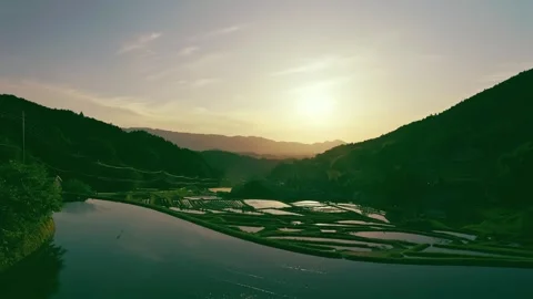 Paddy terraced rice fields at sunset, traditional rice cultivation in Asia Stock Footage 279376566