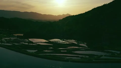 Paddy terraced rice fields at sunset, traditional rice cultivation in Asia Stock Footage 279376696