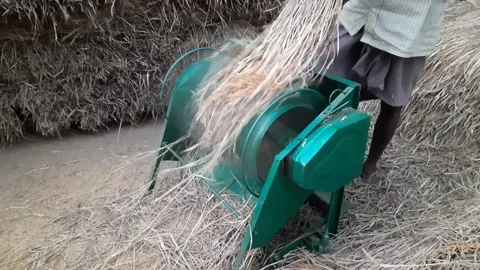 Paddy threshing machine. Stock Footage 167413313