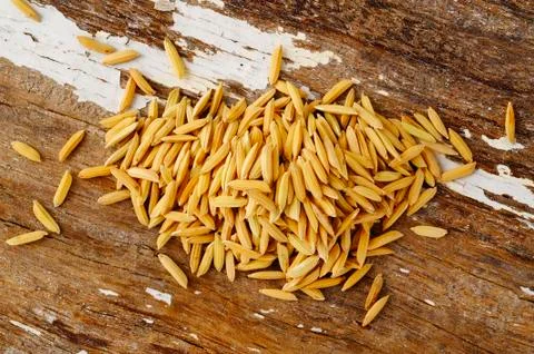 Paddy on wood background Stock Photos