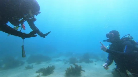 PADI diving instructor signals Stock Footage 128752929