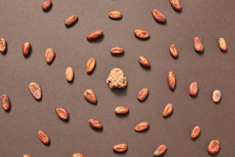 Padial pattern from cacao beans and cocoa mass. Foto stock