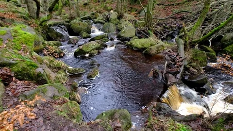 Padley Gorge Stock Footage 75761008