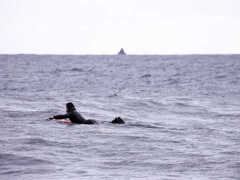 Padling Surfer on calm water Stock Footage 74874320