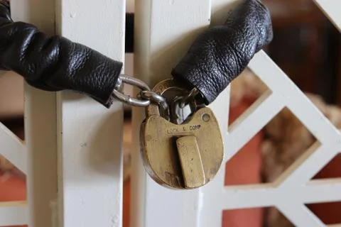 Padlock and chain on gate Stock Photos