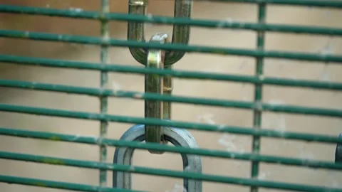 Padlock and chain secures security gate Stock Footage 284148566