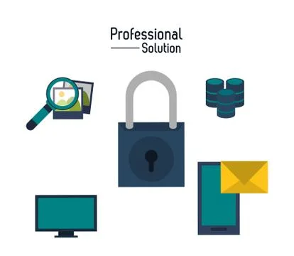 Padlock and icon set. Proffesional Solution. Vector graphic 스톡 일러스트