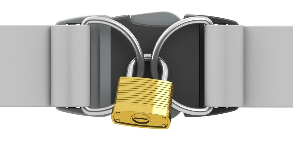 The padlock Stock Illustration