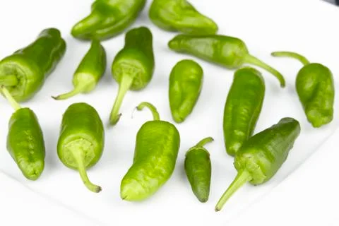 Padron chilis Stock Photos