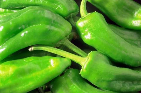Padrón pepper green textures Stock Photos
