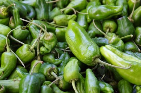 Padron peppers Stock Photos