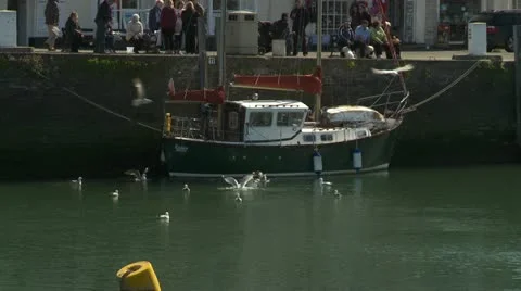 Padstow harbour Stock Footage 21844925