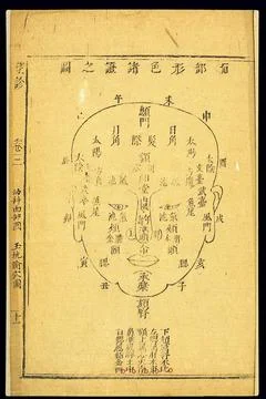 Paediatric chart: Complexion diagnosis, Chinese woodcut Stock Illustration