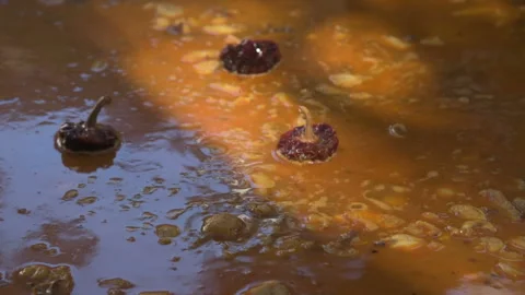 Paella prep04 Stock Footage 103525750