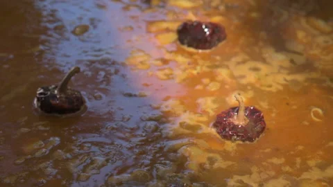 Paella prep05 Stock Footage 103526037