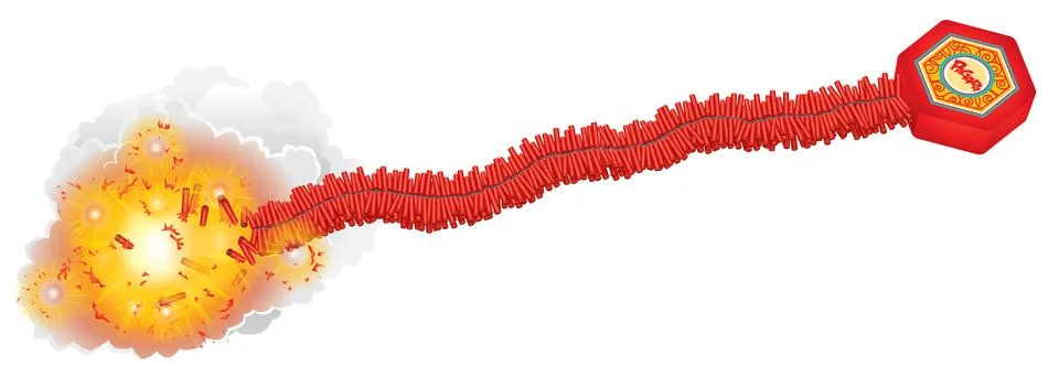 Pagara Stock Illustration