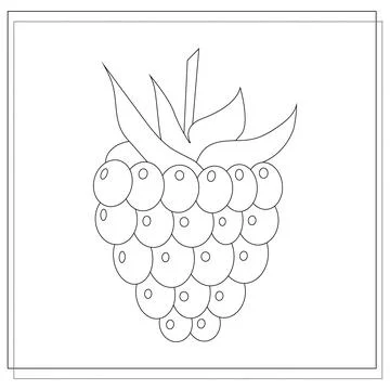 Page of the coloring book, raspberry. sketch. Coloring book for kids. Vector Illustrazione stock