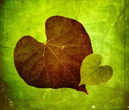 Page of heart Stock Photos