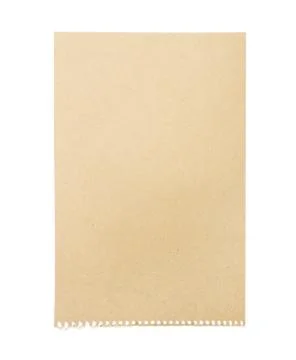 Page of paper Illustrazione stock