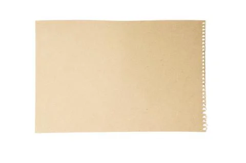Page of paper イラスト素材