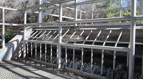 Page Spring Stock Footage 46604349