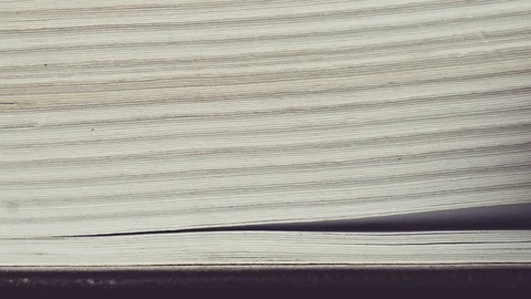 Pages of the book are flipped Stock Footage 91313759