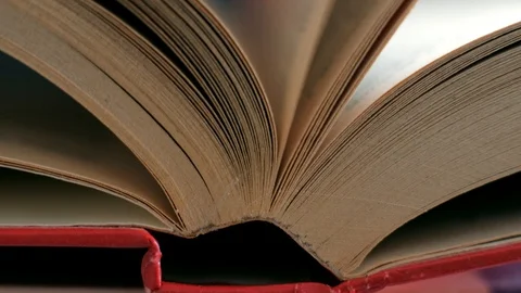 Pages of the book are flipped. Stock-Footage 109120865