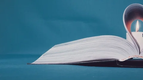 Pages of the book are folded in the form of a heart with wedding rings Stock Footage 101343231