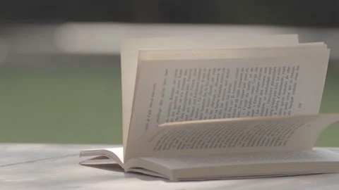 The pages of a book turn with the wind, in front of a swimming pool, in a garden Stock Footage 135397017
