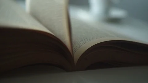 Pages of a book turning Stock Footage 119211445