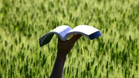 Pages of a book in the wind Stock Footage 11115714