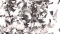 Pages falling white paper book literature business school 4k 4k or 4k+ Resolution