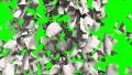 Pages falling white paper book literature business school green screen 4k 4k or 4k+ Resolution