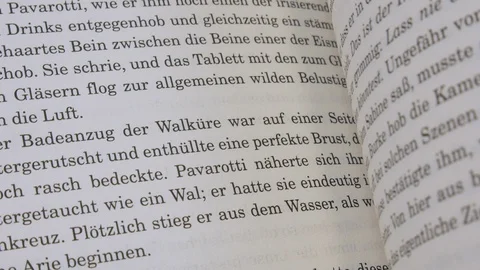 The pages of a German language book are flipped through Stock Footage 108602659
