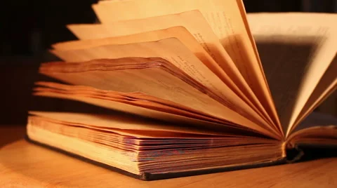 Pages of the old book Stock Footage 46058850