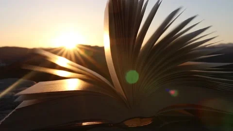 Pages of an open book moving in the wind with rays of sunlight at sunset or s Stock Footage 145600276