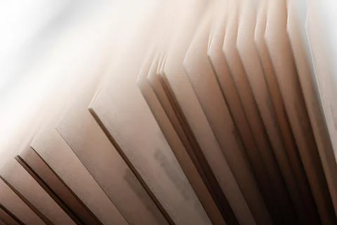 Pages of an open book in rays of light Stock Photos
