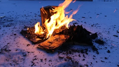 Pages with the text in the open book burn Video stock 104689602