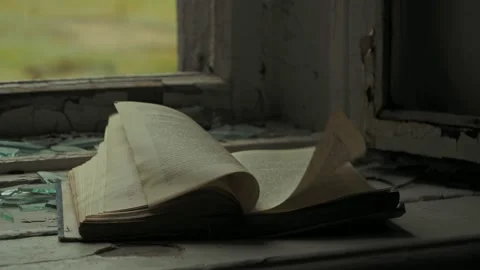 The pages of a textbook flutter in abandoned school. Teriberka, Russia. Stock Footage 143314105
