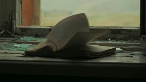 The pages of a textbook flutter on a broken windowsill in an abandoned school in Stock Footage 143295555