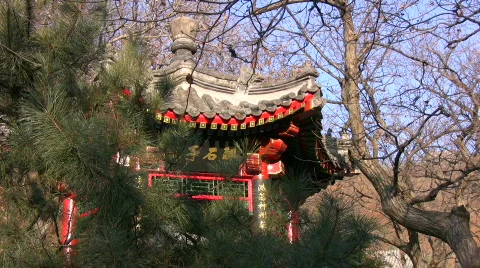 Pagoda 03 Stock Footage 306461