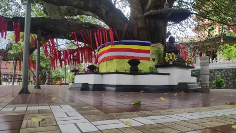 Pagoda-0328 Stock Footage 305388776