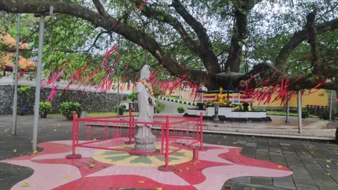 Pagoda-0328(2) Stock Footage 305388773
