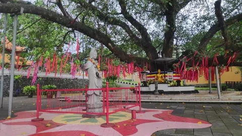 Pagoda-0328(3) Stock Footage 305388775