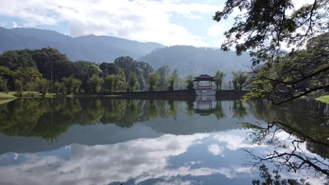 The Pagoda Bridge Video stock 136956471