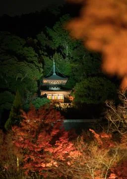 Pagoda in Eikando temple at night Stock Photos