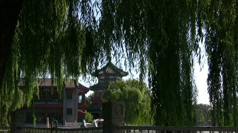 Pagoda Video stock 268282