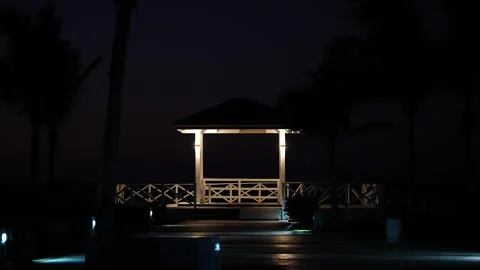 Pagoda Lit at Night Stock Footage 306016403