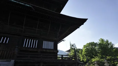 A Pagoda Seen Through the Trees Stock Footage 322054454